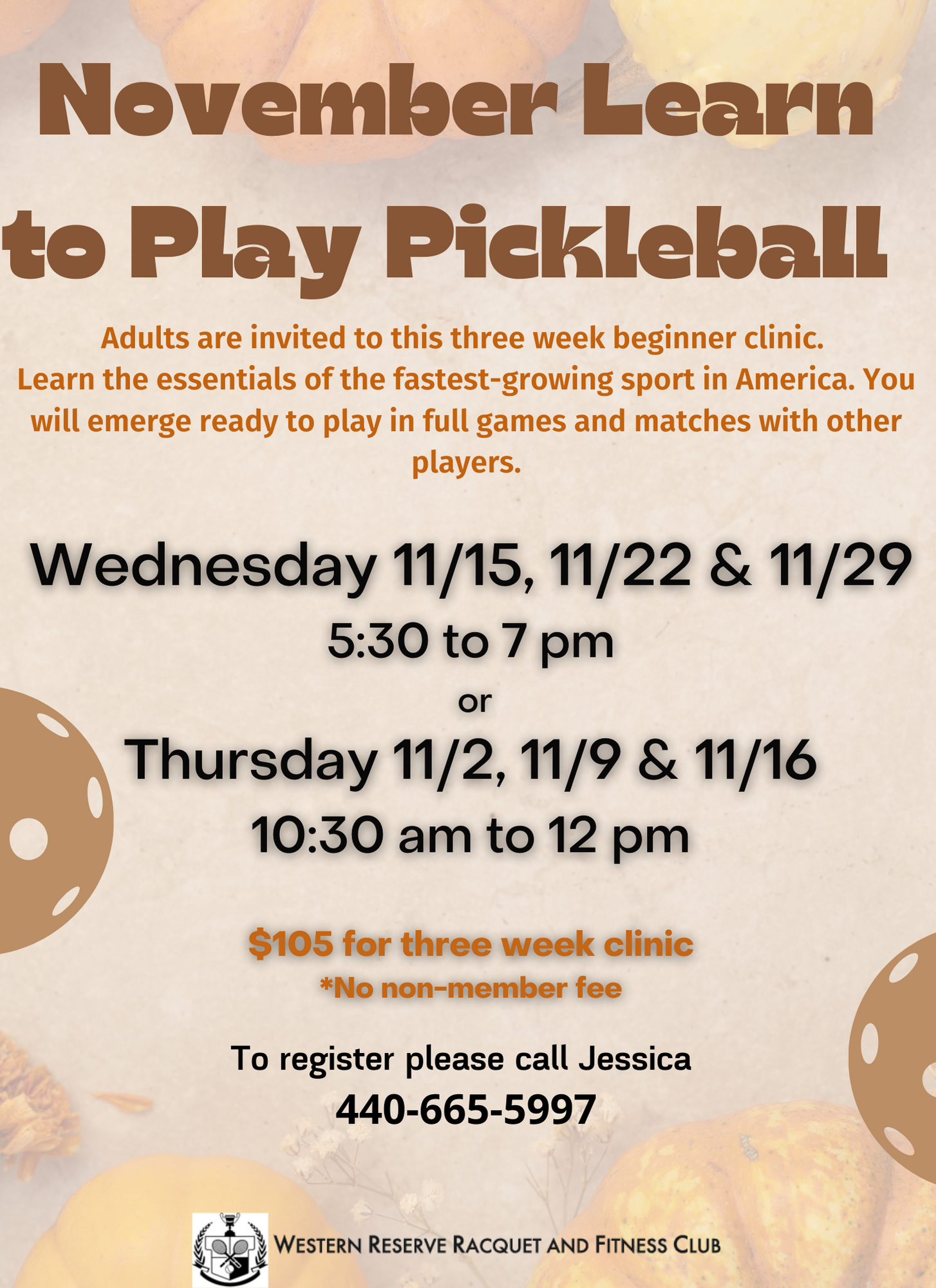 Learn to Play Pickleball Program