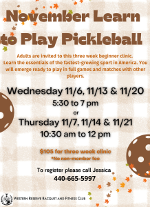 Beginner Pickleball Lessons