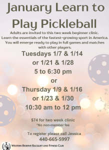 Beginner Pickleball Classes for Adults